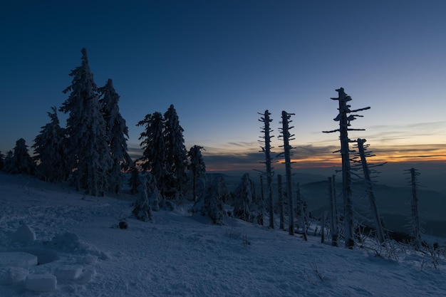 Cielo luminoso in un paesaggio invernale nella Foresta Nera in Germania