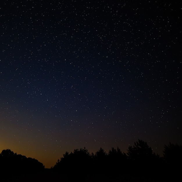 Cielo notturno con stelle luminose