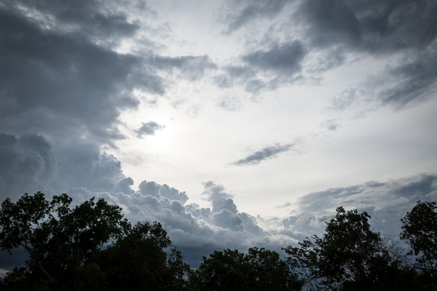 Cielo nuvoloso con linea degli alberi scura