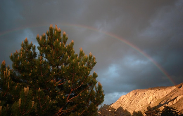 Cielo nuvoloso e arcobaleno dopo la pioggia