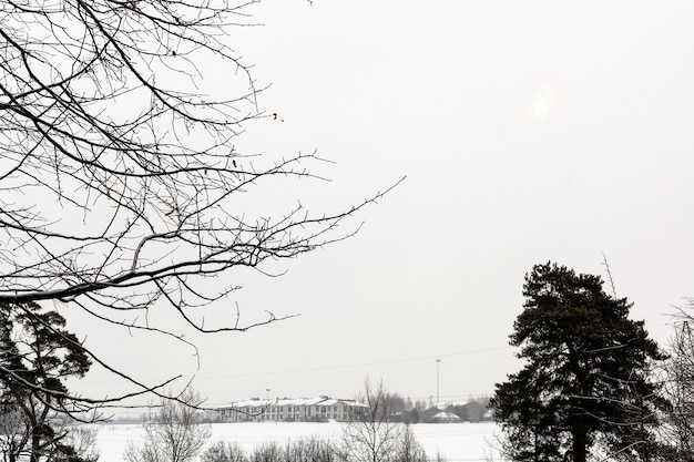 Cielo nuvoloso grigio sopra il campo del paese innevato