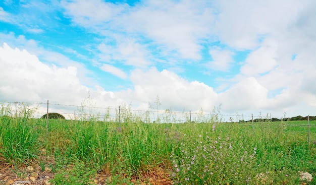 Cielo nuvoloso in campagna