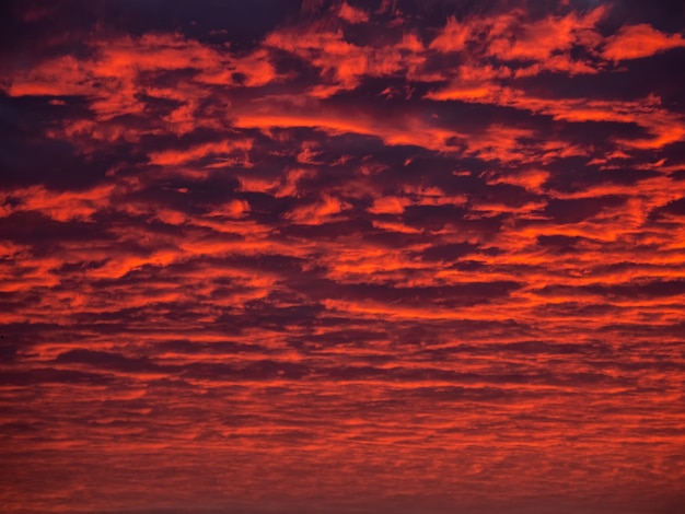 Cielo rosso sera. Cielo nuvoloso colorato al tramonto. Struttura del cielo, fondo astratto della natura