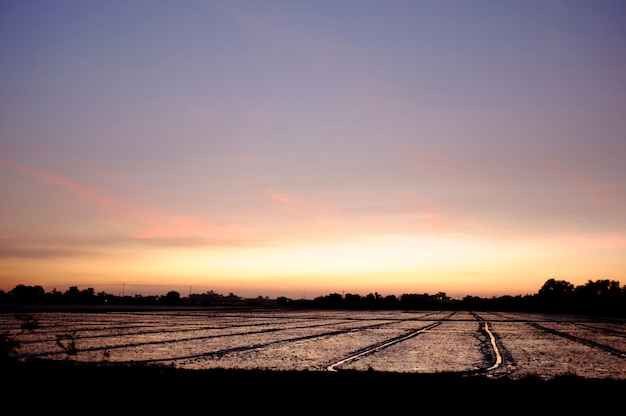 Cielo serale - aree rurali - terreni agricoli.