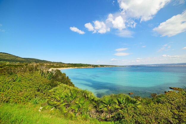 Cielo sereno sopra la spiaggia del Lazzaretto in Sardegna Italia