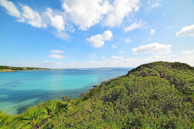 Cielo sereno sopra la spiaggia del Lazzaretto in Sardegna Italia