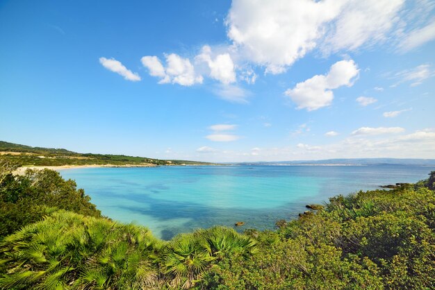 Cielo sereno sopra la spiaggia del Lazzaretto in Sardegna Italia