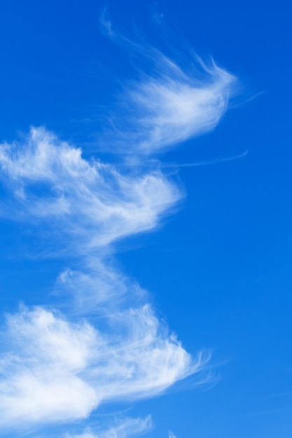 cielo soleggiato con nuvole