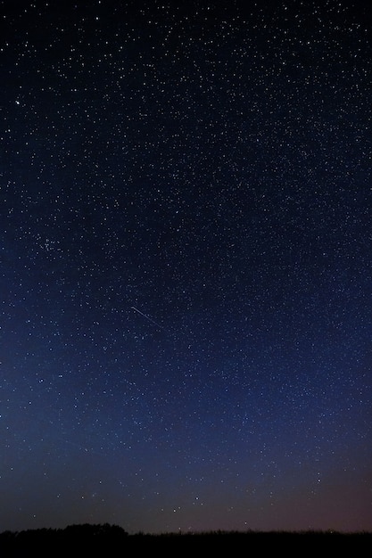 Cielo stellato notturno per lo sfondo.