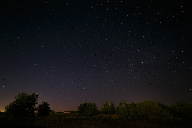 Cielo stellato notturno per lo sfondo.