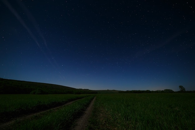 Cielo stellato notturno sopra la strada in campagna.