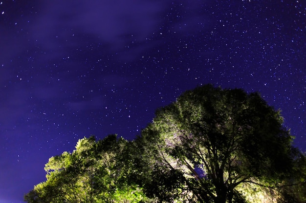 Cielo stellato sul lago Paesaggio notturno Cielo con nuvole