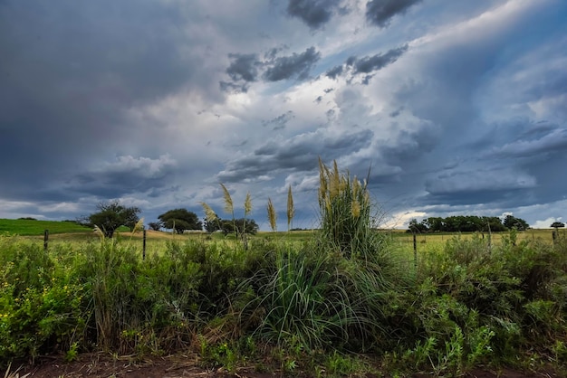 Cielo tempestoso a causa della pioggia nella campagna argentina La Pampa provincia Patagonia Argentina
