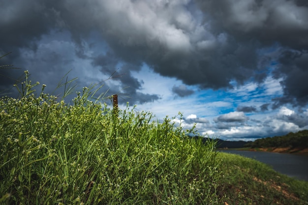 Cielo tempestoso con nuvole e ambiente scuro sopra lo stagno e il lago circondato dal verde e senza persone