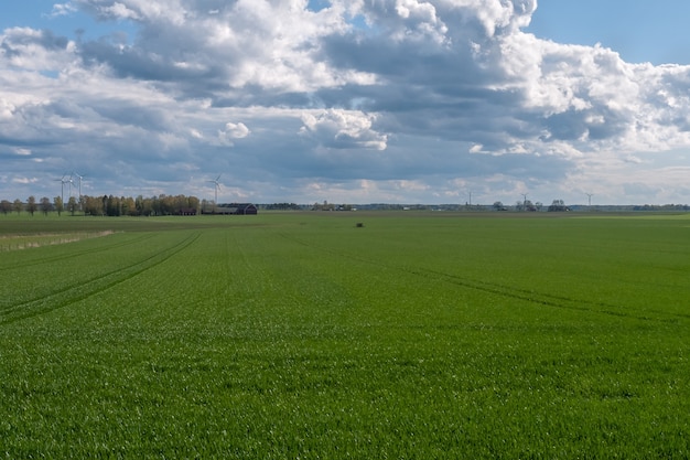 Cielo tempestoso su un campo seminato verde con energia eolica sullo sfondo. Svezia centrale.