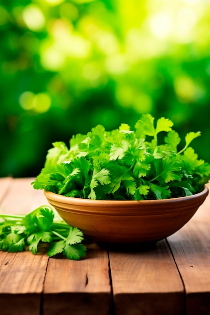 Cilantro in una ciotola sullo sfondo del giardino Focalizzazione selettiva