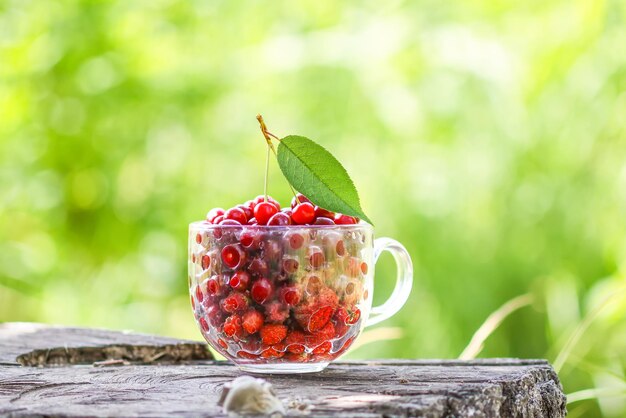 Ciliege e fragole bagnate mature in una tazza trasparente sul ceppo di albero Frutti rossi freschi nel giardino estivo in campagna