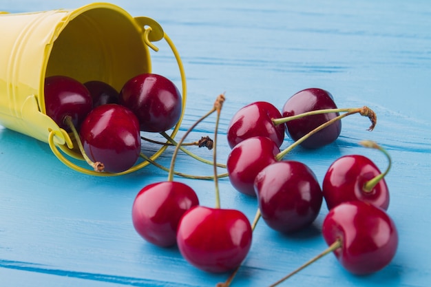 Ciliege rosse lucide dolci del primo piano sul fondo blu dello scrittorio