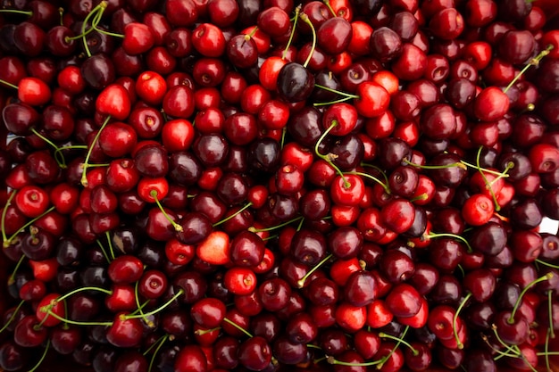 Ciliegia Bacche organiche fresche Priorità bassa della frutta