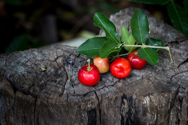 Ciliegia di frutta tailandese