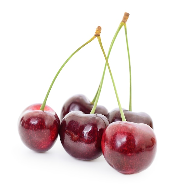 Ciliegie dolci con steli su uno sfondo bianco