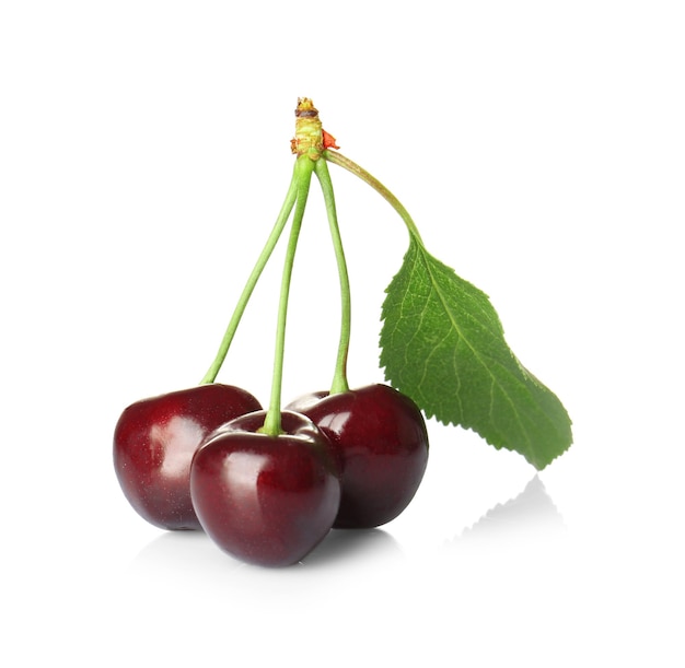 Ciliegie dolci fresche su sfondo bianco