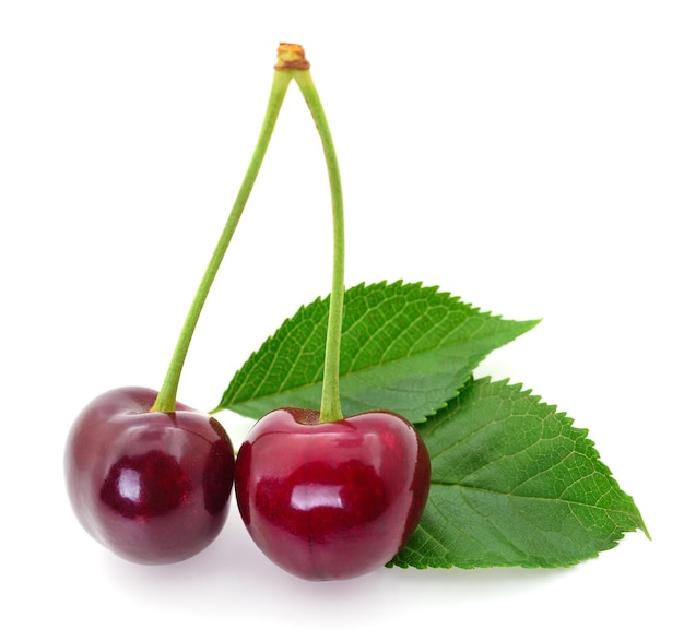 Ciliegie dolci su bianco