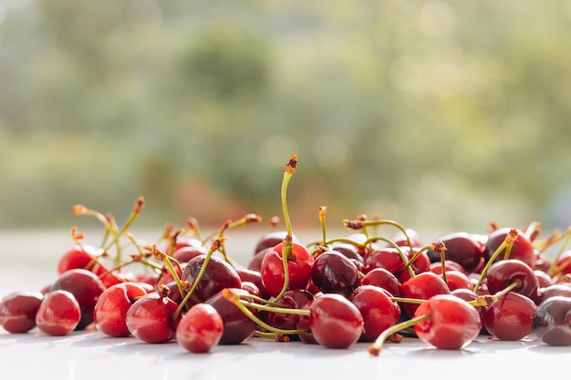 Ciliegie fresche su sfondo bianco Cibo sano