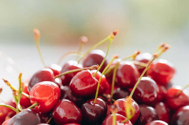 Ciliegie fresche su sfondo bianco Cibo sano