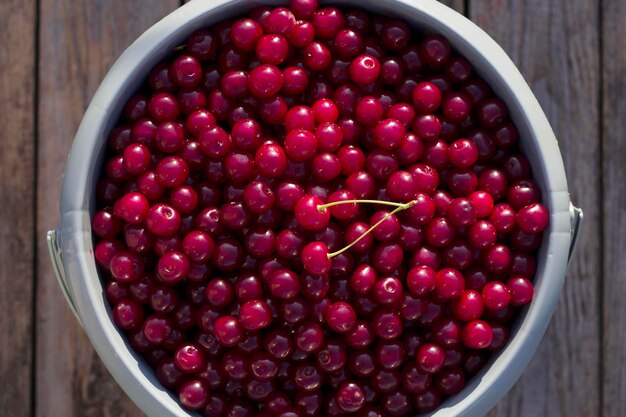 ciliegie rosse mature in un buck con vista in alto da vicino