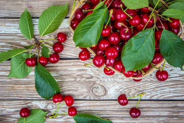 Ciliegie rosse Messa a fuoco selettiva