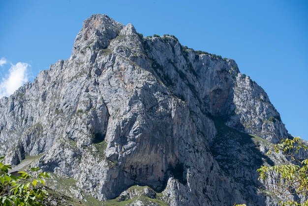 Cima della montagna nei picos de europa