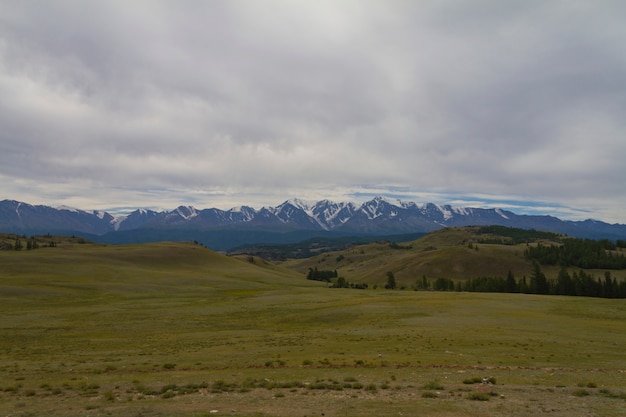 Cima della neve in Altai. Vista dal basso.