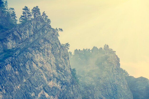 Cima in pietra di rocce con alberi