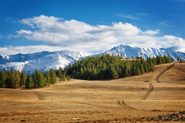 Cime di ghiaccio della catena montuosa sopra la valle