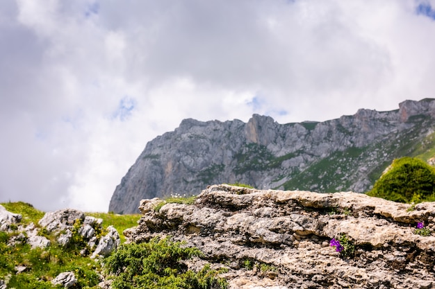 Cime, gole e pendii. Panorama montano.