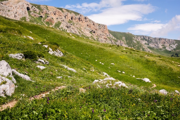 Cime, gole e pendii. Panorama montano.