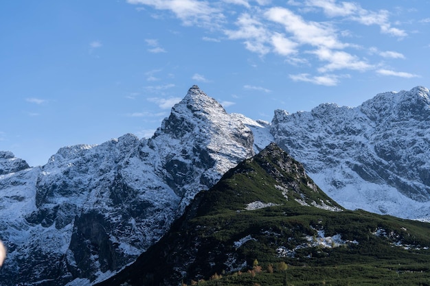 Cime incredibilmente belle di montagne innevate, incredibile fauna selvatica