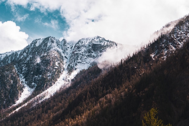 Cime innevate dei monti Altai contro il cielo