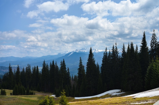 Cime innevate delle montagne primaverili dei Carpazi