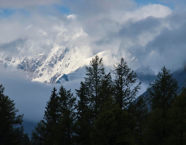 Cime innevate tra le nuvole