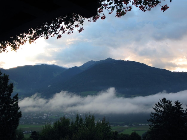 Cime montuose in lontananza, nuvole sotto le montagne, rami degli alberi, mattina presto, bellissimo