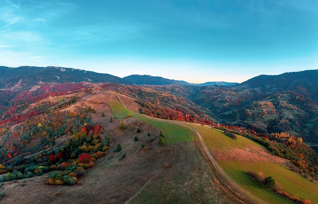 Cime montuose ricoperte di alberi colorati al tramonto