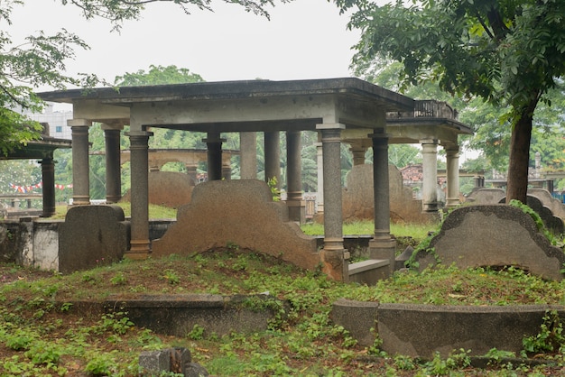 Cimitero con alberi e molte lapidi in una giornata luminosa