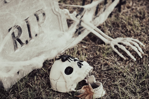 Cimitero di Halloween con teschio umano, sfondo nebbioso.