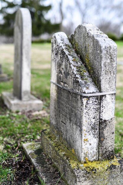 Cimitero vintage e lapidi