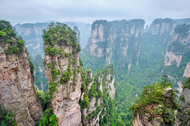 Cina montagne di Zhangjiajie