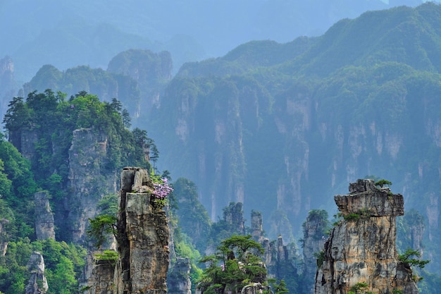 Cina montagne di Zhangjiajie