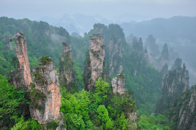 Cina montagne di Zhangjiajie