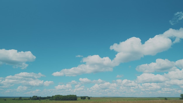 Cinematografico umore idilliaco campo verde di erba verde al giorno movimento luce solare ambiente pittoresco